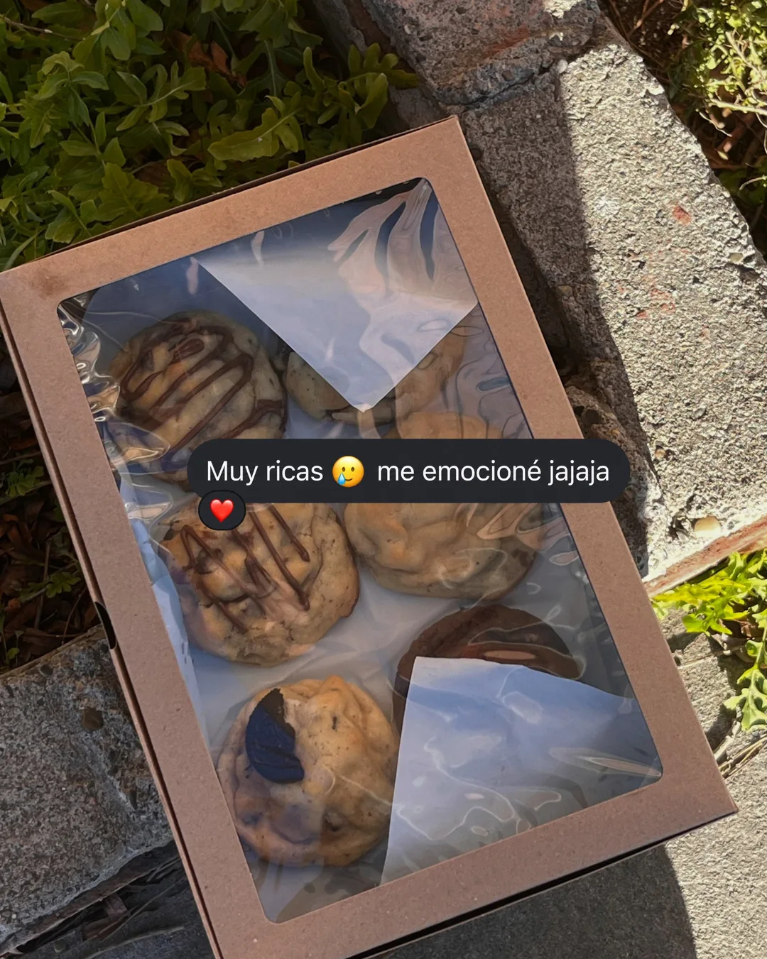 Algunas cosas lindas que me voy guardando por acá 🤎